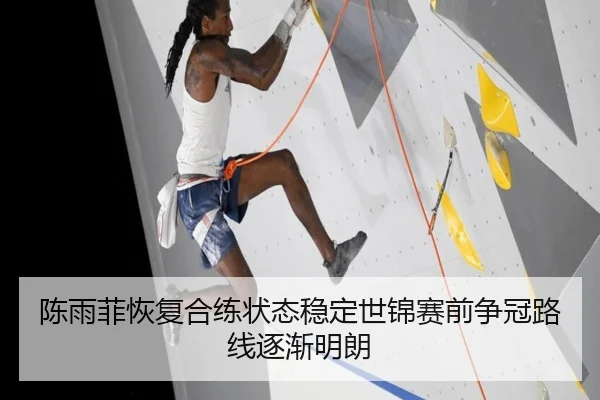 陈雨菲恢复合练状态稳定世锦赛前争冠路线逐渐明朗